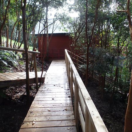קסטרו Parque Natural Rio Bravo Lodge מראה חיצוני תמונה