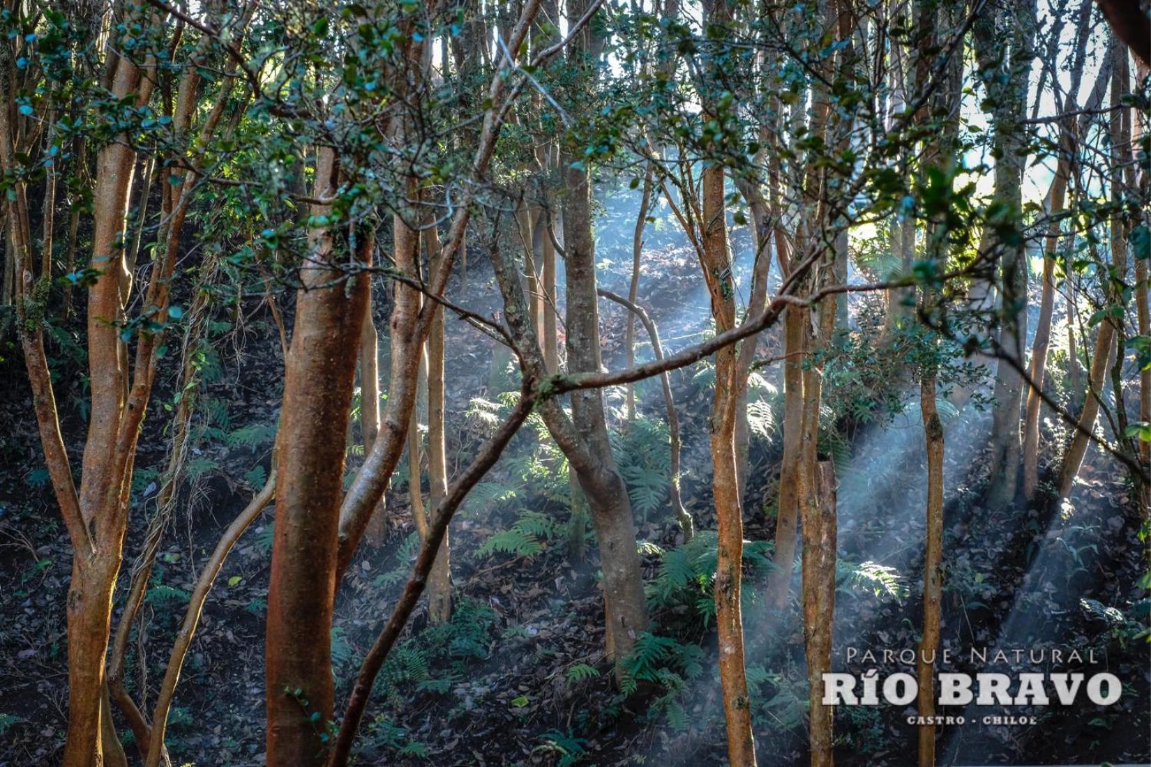 קסטרו Parque Natural Rio Bravo Lodge חדר תמונה