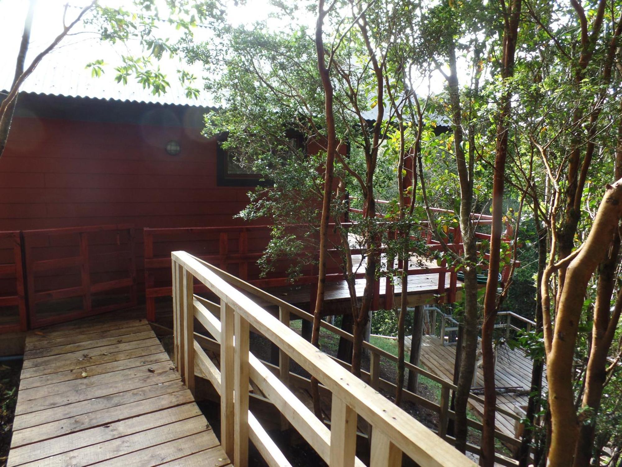 קסטרו Parque Natural Rio Bravo Lodge מראה חיצוני תמונה