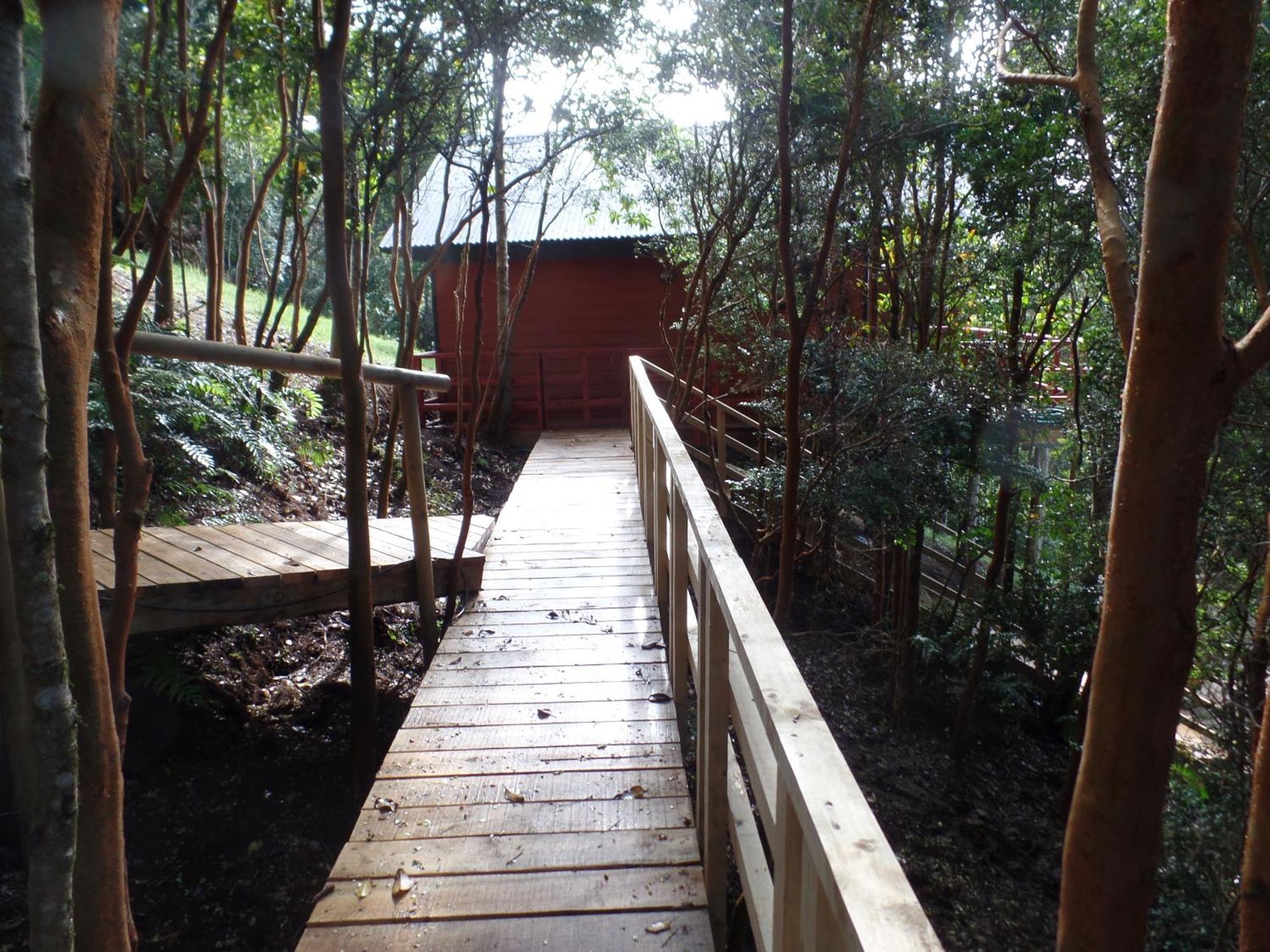 קסטרו Parque Natural Rio Bravo Lodge מראה חיצוני תמונה