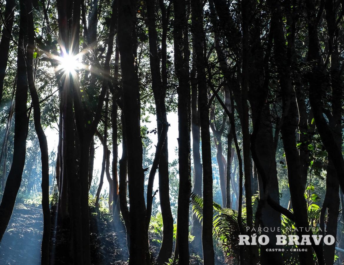 קסטרו Parque Natural Rio Bravo Lodge מראה חיצוני תמונה
