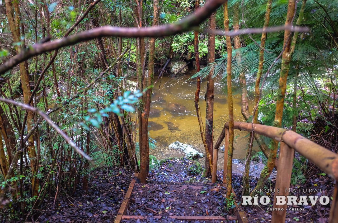 קסטרו Parque Natural Rio Bravo Lodge מראה חיצוני תמונה