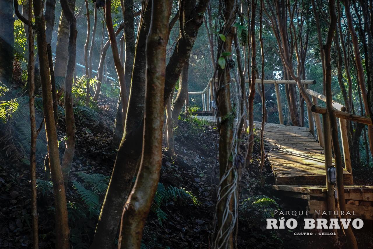 קסטרו Parque Natural Rio Bravo Lodge מראה חיצוני תמונה