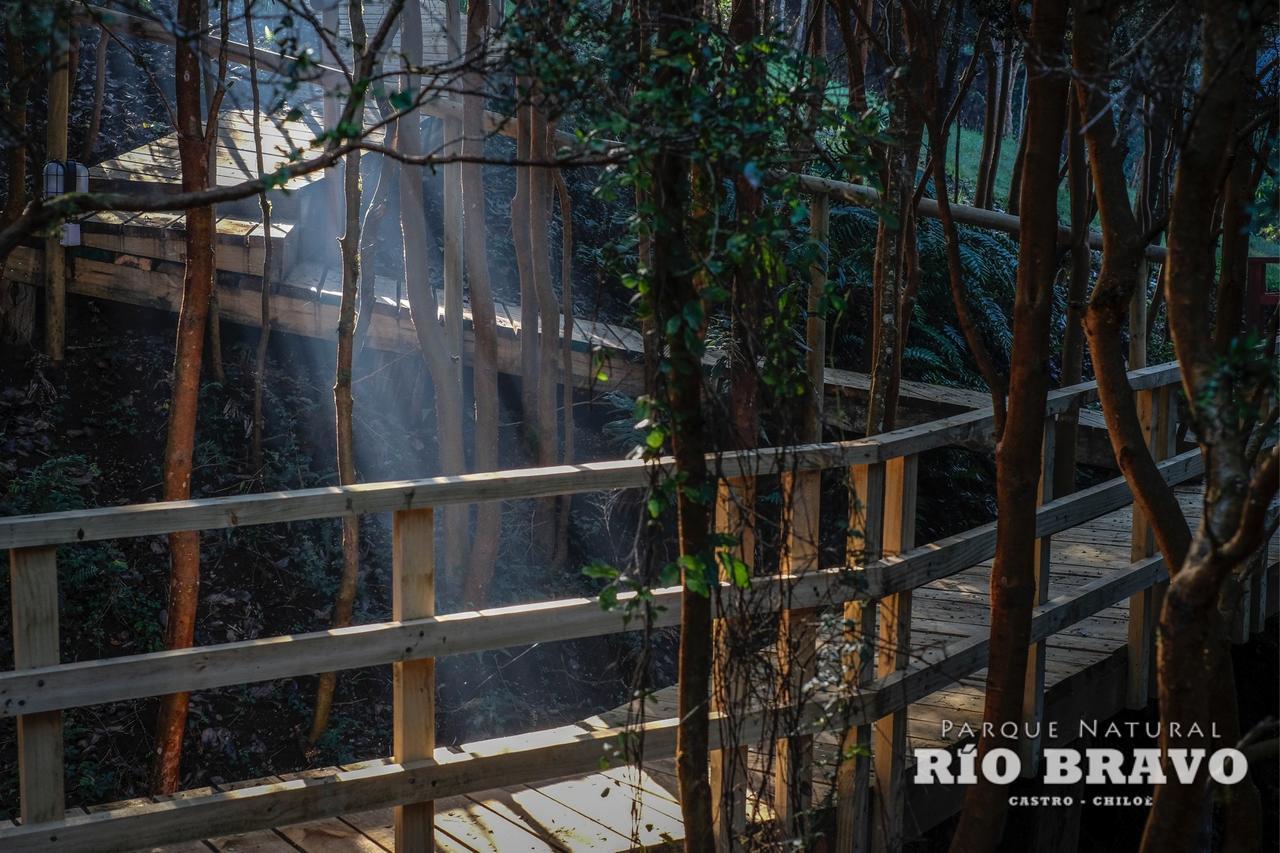 קסטרו Parque Natural Rio Bravo Lodge מראה חיצוני תמונה