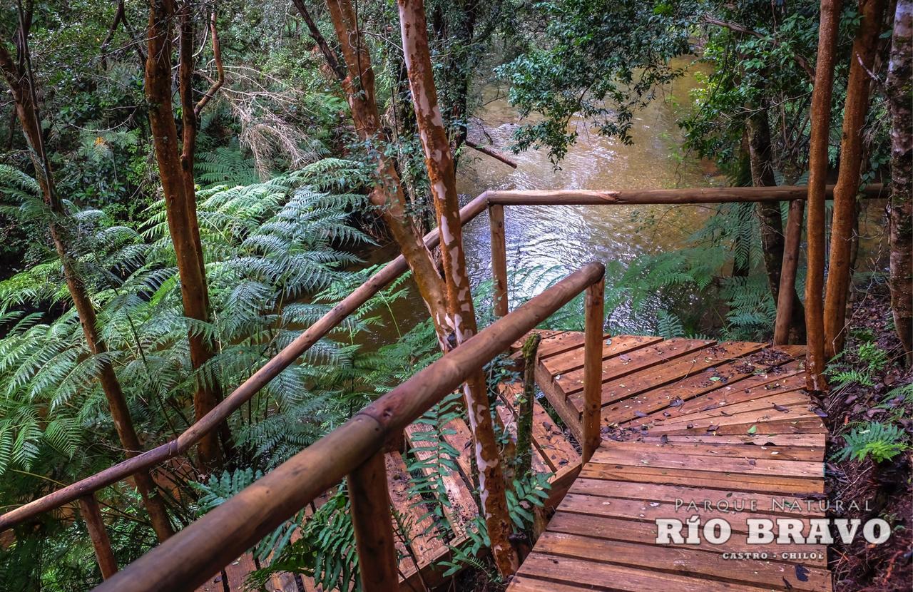 קסטרו Parque Natural Rio Bravo Lodge מראה חיצוני תמונה