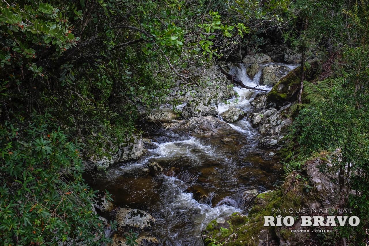 קסטרו Parque Natural Rio Bravo Lodge חדר תמונה