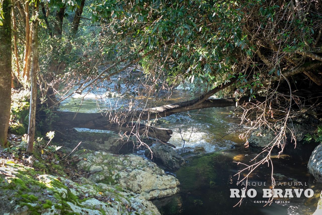 קסטרו Parque Natural Rio Bravo Lodge מראה חיצוני תמונה